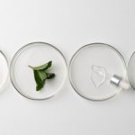 Galactomyces Ferment Filtrate in skincare